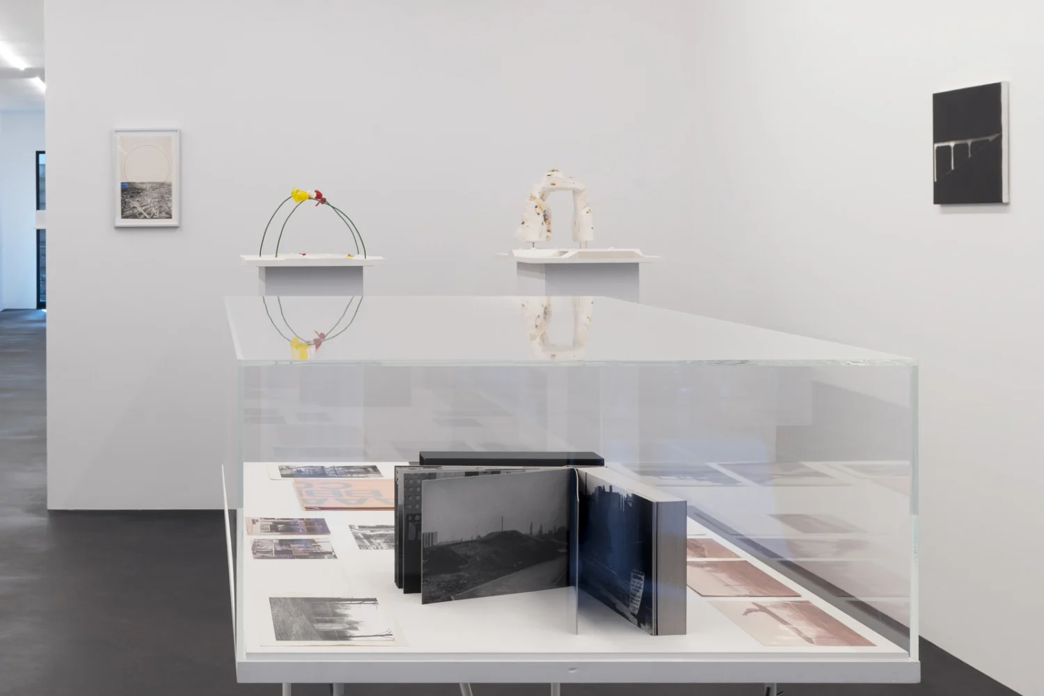 ProjectsforOutsideISAUSA — Isa Genzken — Exhibitions — Galerie Buchholz — Image 07