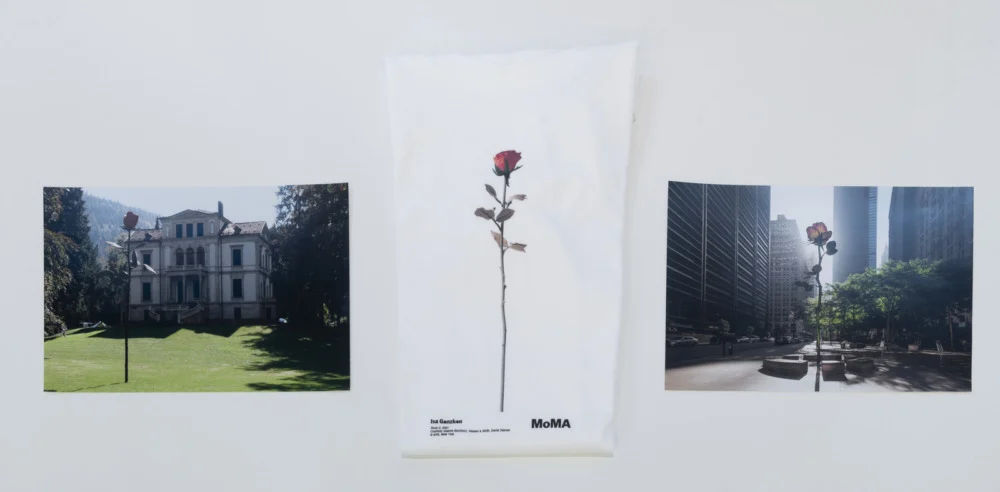 ProjectsforOutsideISAUSA — Isa Genzken — Exhibitions — Galerie Buchholz — Image 00
