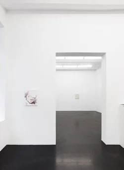 Deshaun Price - Galerie Buchholz Köln 2026 — Deshaun Price — Exhibitions — Galerie Buchholz — Image 21
