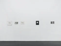 Si quelque chose noir — Alix Cléo Roubaud — Exhibitions — Galerie Buchholz — Image 89