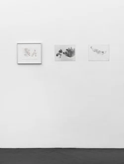 Si quelque chose noir — Alix Cléo Roubaud — Exhibitions — Galerie Buchholz — Image 90