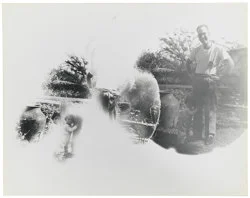 Si quelque chose noir — Alix Cléo Roubaud — Exhibitions — Galerie Buchholz — Image 92