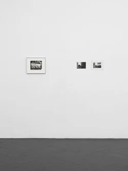 Si quelque chose noir — Alix Cléo Roubaud — Exhibitions — Galerie Buchholz — Image 96