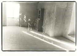 Si quelque chose noir — Alix Cléo Roubaud — Exhibitions — Galerie Buchholz — Image 105