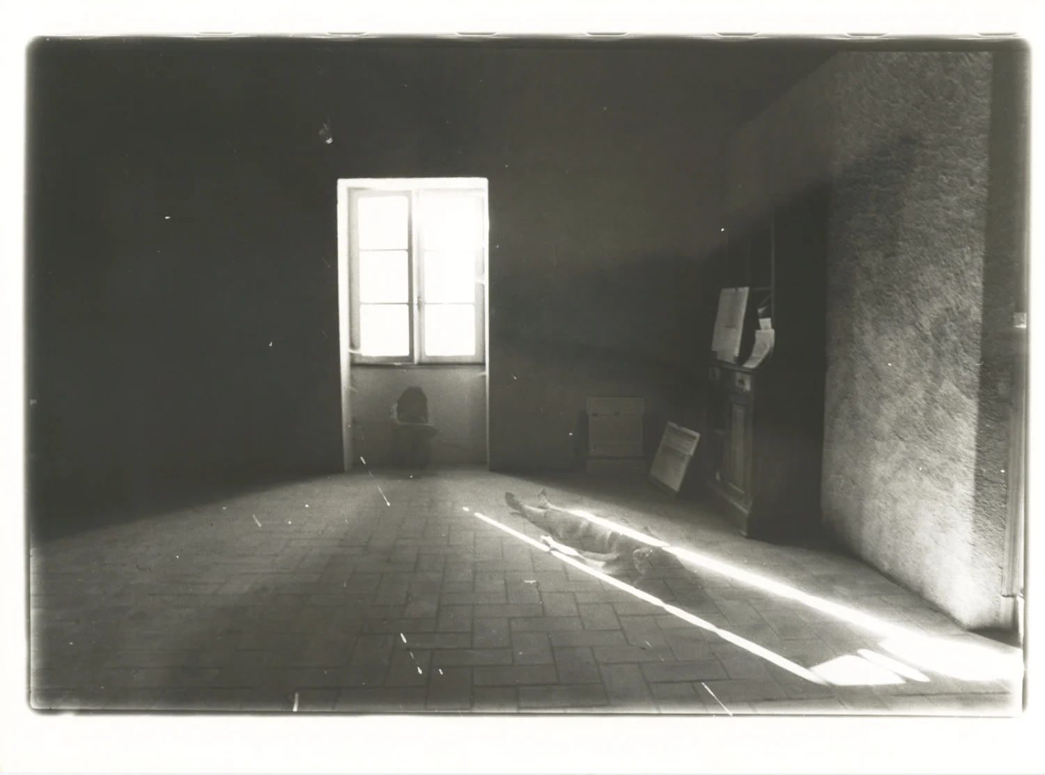 Si quelque chose noir — Alix Cléo Roubaud — Exhibitions — Galerie Buchholz — Image 48