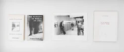 Si quelque chose noir — Alix Cléo Roubaud — Exhibitions — Galerie Buchholz — Image 123